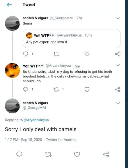 Tweet scotch cigars sema georgemm tm yo wtf' aryannkinyua 1om any pet expert apa