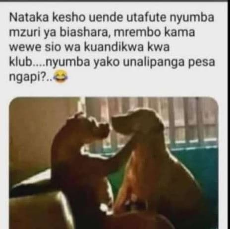 Nataka kesho uende utafute nyumba mzuri ya biashara, mrembo kama wewe sio wa kua