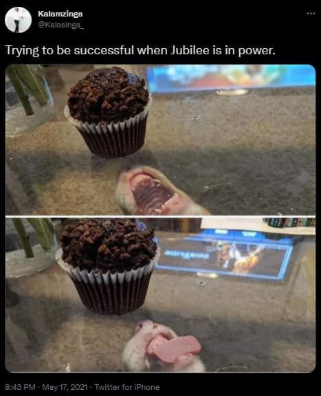 Kalamzinga kalasinga trying to be successful when jubilee is in power. 8.43 pm m