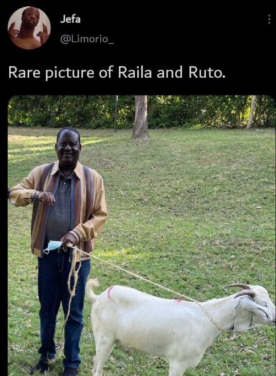 Jefa limorio rare picture of raila and ruto.