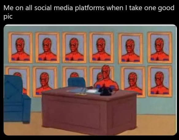 Me on all social media platforms when i take one good pic