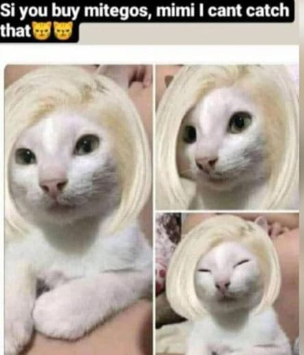 Si you buy mitegos, mimi cant catch that