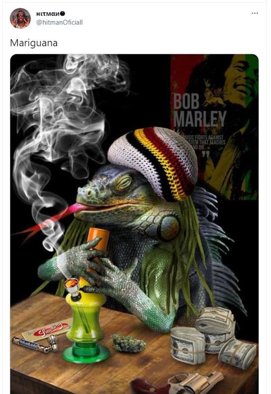 Hltmaho hitmanoficiall mariguana bob marley