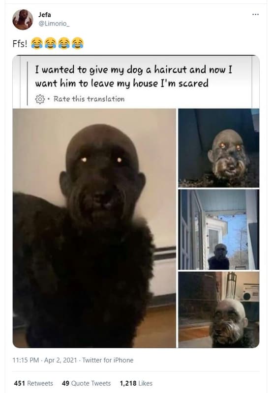 Jefa limorio_ ffs! wanted to give my dog haircut and now want him to leave my ho