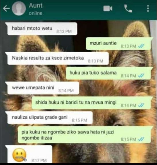 Aunt online habarı mtoto wetu 8 i3 pm mzurı auntle bijpm naskia results za ksce