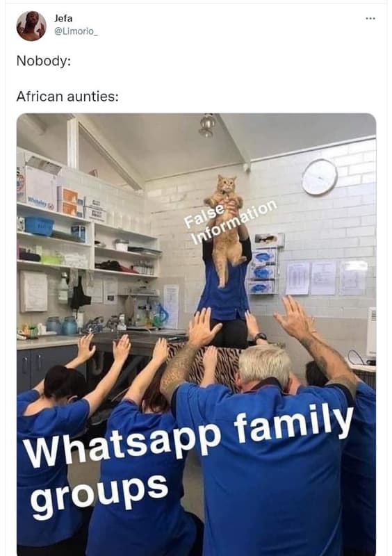 Jefa limorio _ nobody african aunties whatsapp family groups false information