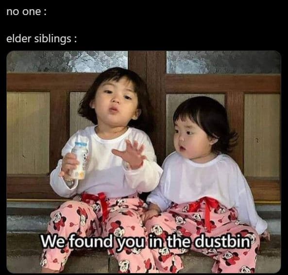 No one elder siblings wefound youin the dustbin