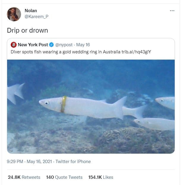 Nolan kareem_p drip or drown new york post nypost . may 16 diver spots fish wear