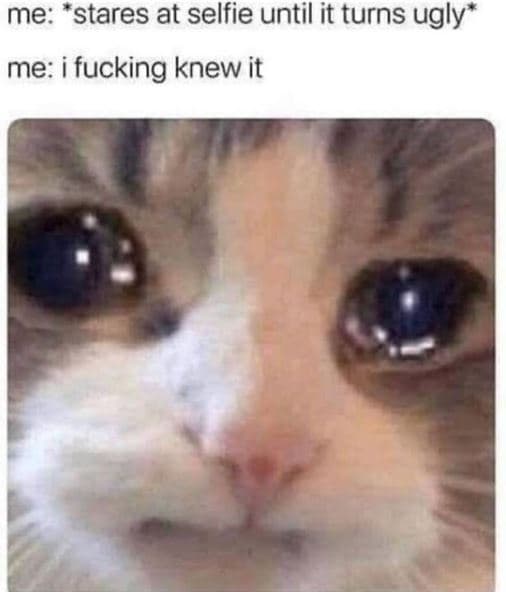 Me stares at selfie until it turns ugly me i fucking knew it