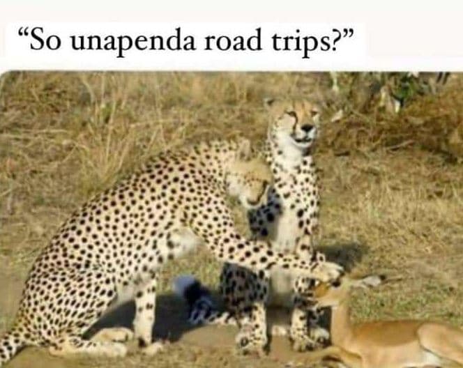 So unapenda road trips?