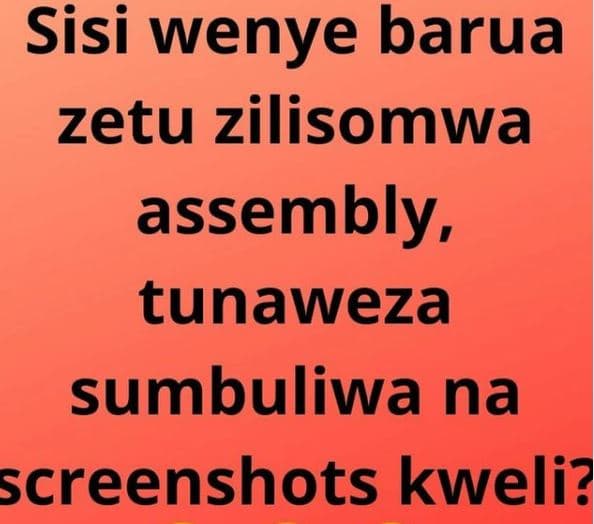 Sisi wenye barua zetu zilisomwa assembly, tunaweza sumbuliwa na screenshots kwel