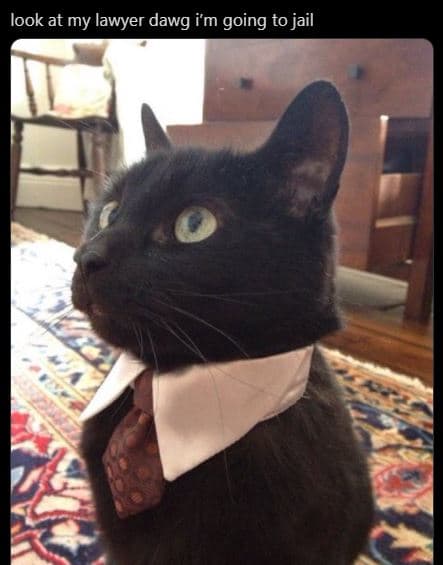 Look at my lawyer dawg im going to jail