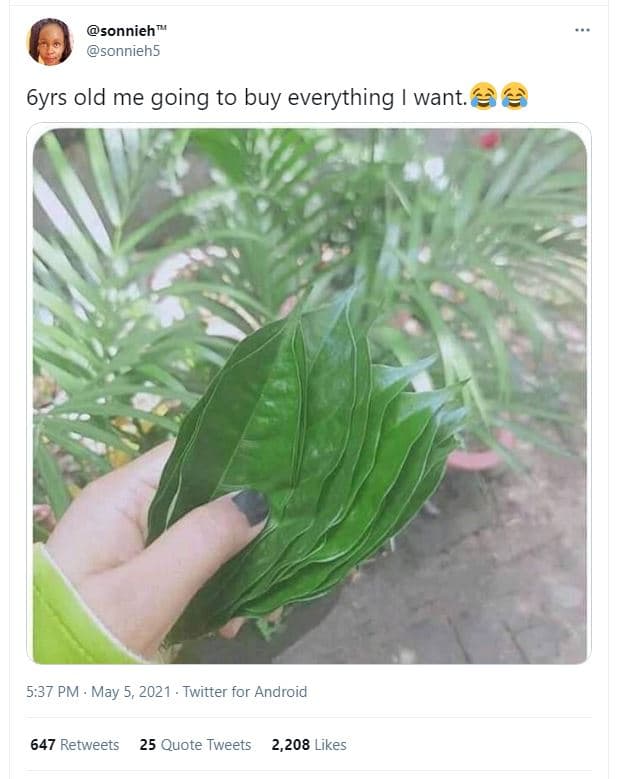 Sonnieh sonniehs 6yrs old me going to buy everything want. 5.37 pm may 5, twitte