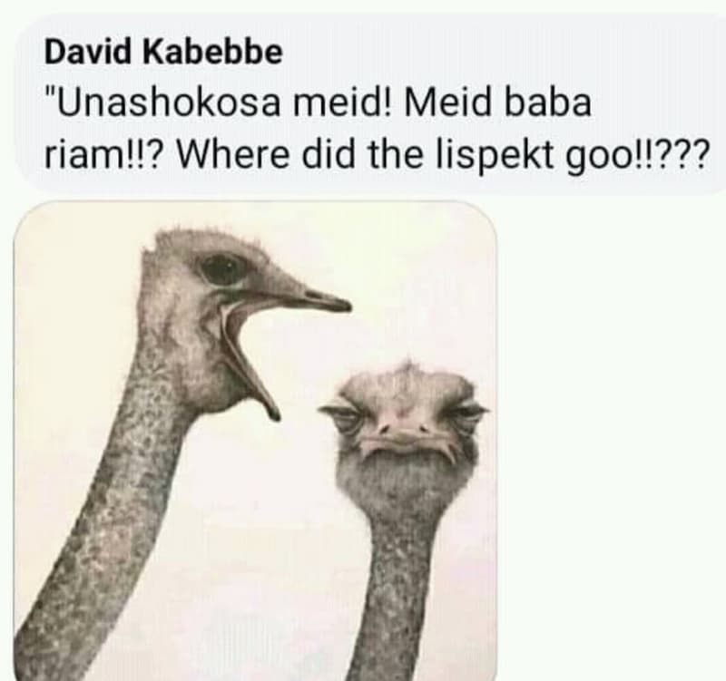 David kabebbe unashokosa meid! meid baba riam!!? where did the lispekt gooll???