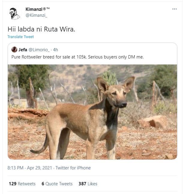 Kimanzi kimanzı hii labda ni ruta wira translate tweet jefa limorio _ pure rottw