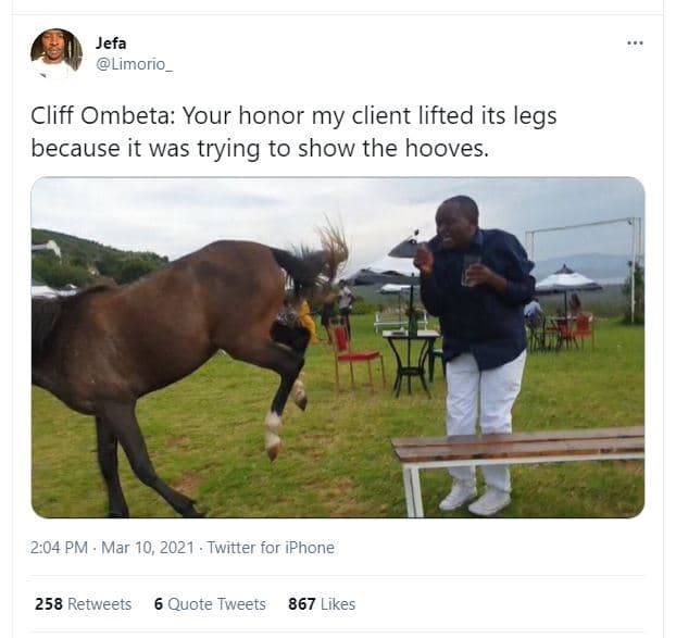 Jefa limorio_ cliff ombeta your honor my client lifted its legs because it was t