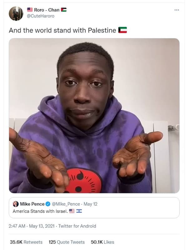 Roro chan cuteharoro and the world stand with palestine mike pence mike_pence ma