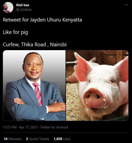 Kisii bae _kisiibae retweet for jayden uhuru kenyatta like for pig curfew, thika