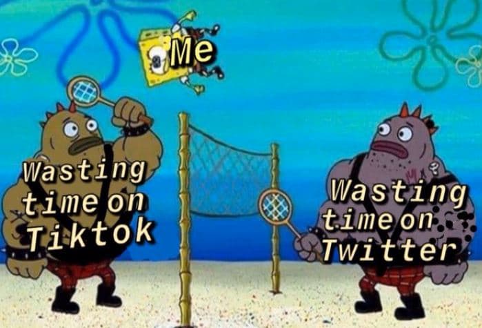 Me wasting time on tiktok wasting timeon twitter