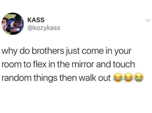 Kass kozykass why do brothers just come in your room to flex in the mirror and t