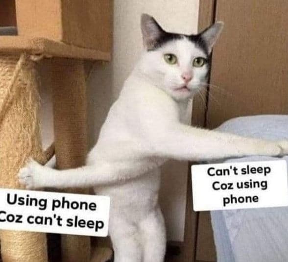 Can't sleep coz using phone using phone coz can't sleep