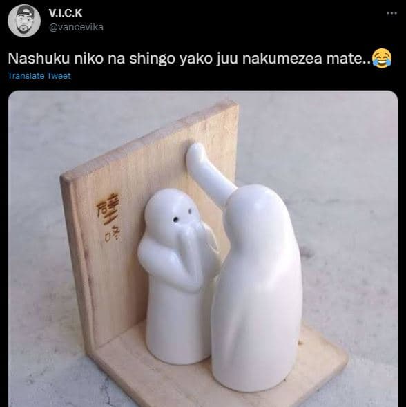 Vick vancevika nashuku niko na shingo yako juu nakumezea mate translate tweet