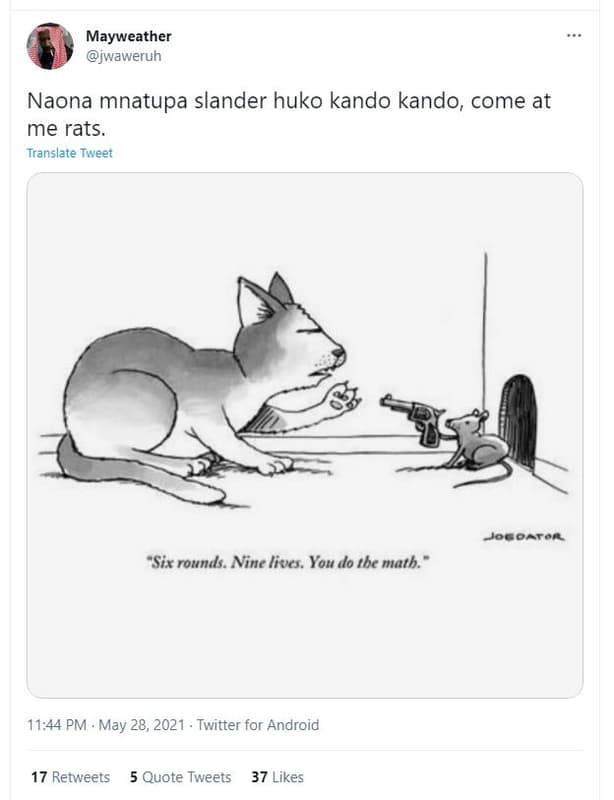 Mayweather waweruh naona mnatupa slander huko kando kando come at me rats transl