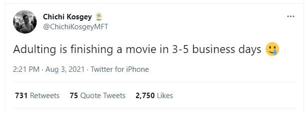 Chichi kosgey chichikosgeymft adulting is finishing a movie in 35 business days