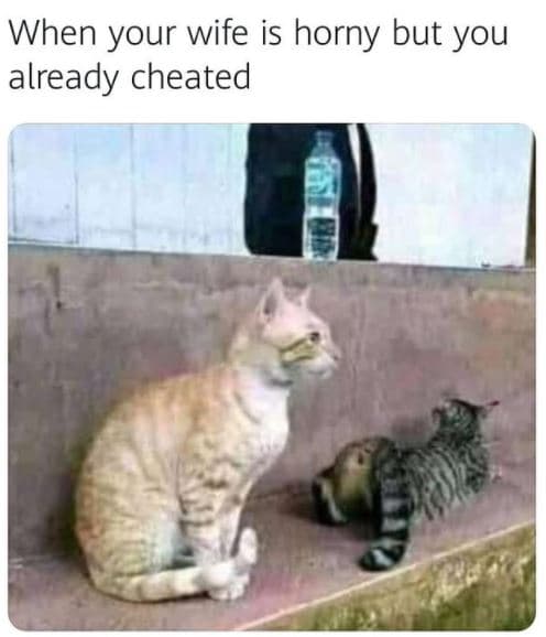 When your wife is horny but you already cheated