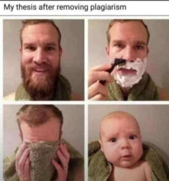 My thesis after removing plagiarism