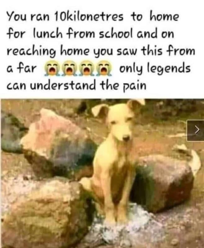 You ran 1okilonetres to home fr lunch from school gnd on recching home you saw t
