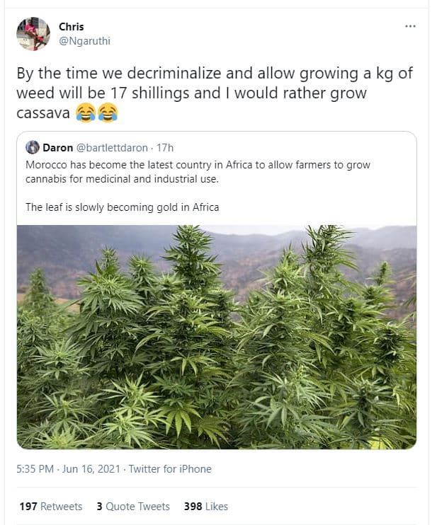Chris ngaruthi by the time we decriminalize and allow growing kg of weed will be