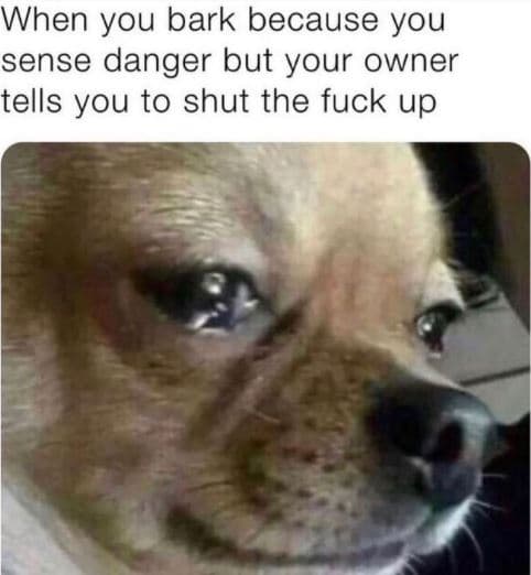 When you bark because you sense danger but your owner tells you to shut the fuck