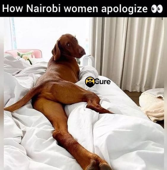 How nairobi women apologize 00 cure