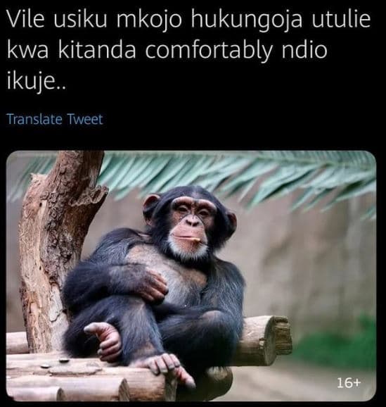 Vile usiku mkojo hukungoja utulie kwa kitanda comfortably ndio ikuje translate t