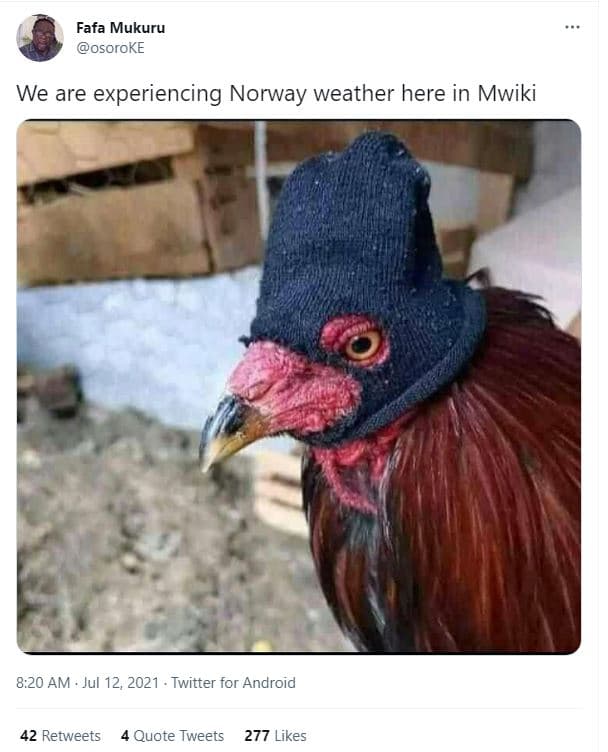 Fafa mukuru osoroke we are experiencing norway weather here in mwiki 8.20 am jul