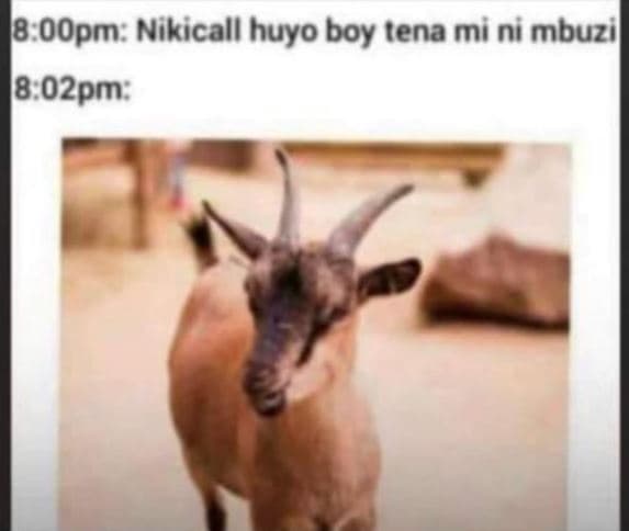 8 oopm nikicall huyo boy tena mini mbuzi 8 02pm