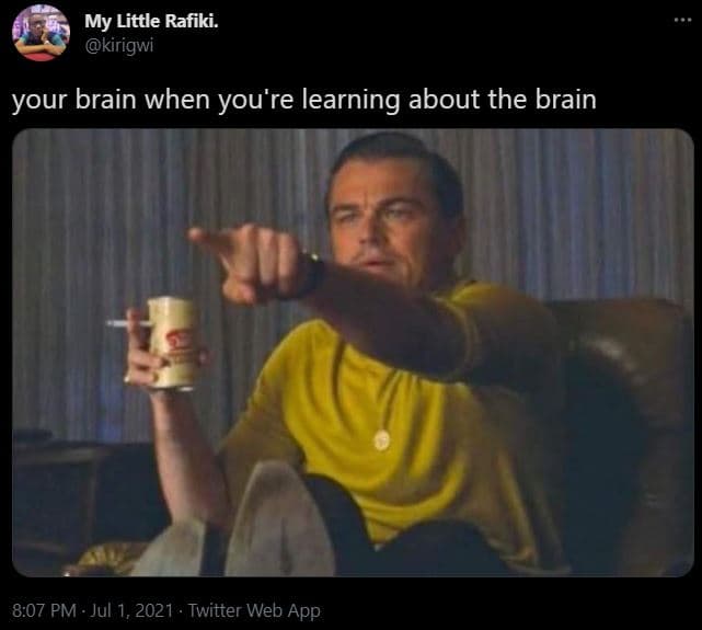 My little rafiki. kirigwi your brain when you' 're learning about the brain 8.07