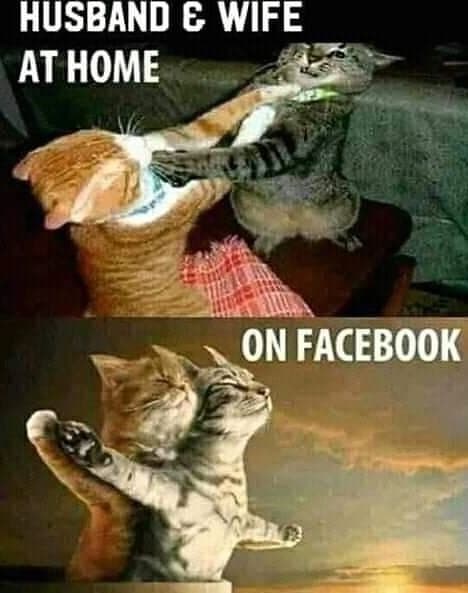 Husband wife at home on facebook