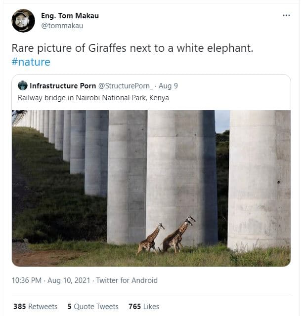 Eng tom makau tommakau rare picture of giraffes next to a white elephant. nature