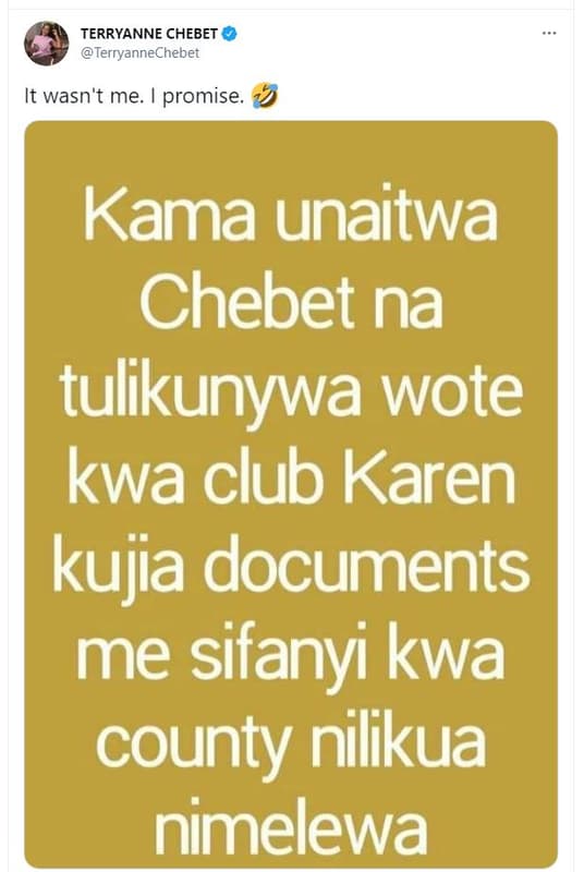 Terryanne chebet terryannechebet it wasn't me. promise. kama unaitwa chebet na t