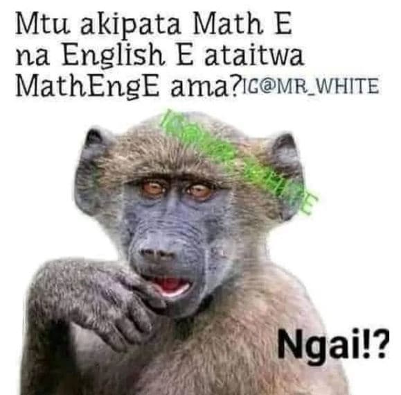 Mtu akipata math e na english e ataitwa mathenge ama?ıcmr_white ngai!?