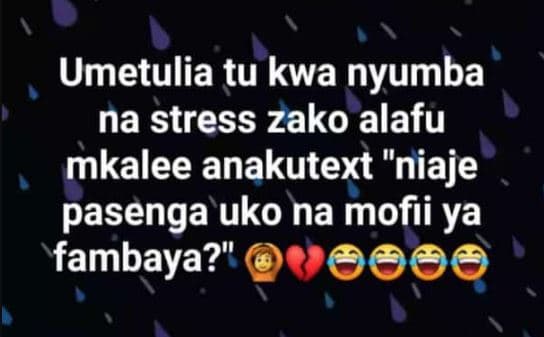 Umetulia tu kwa nyumba na stress zako alafu mkalee anakutext niaje pasenga uko n