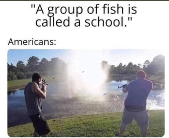 Agroup of fish is called à school.' americans