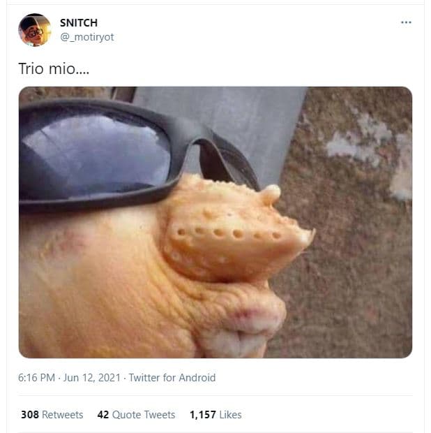 Snitch motiryot trio mio 6,16 pm jun 12, twitter for android 308 retweets 42 quo