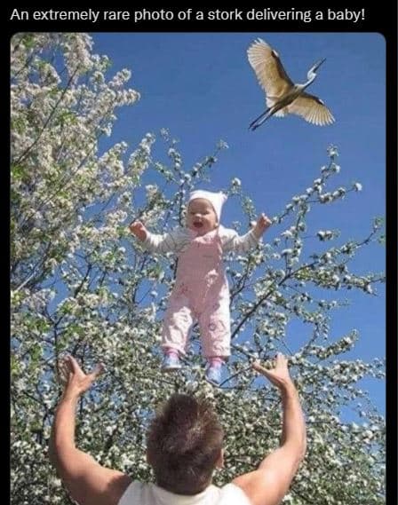 An extremely rare photo of a stork delivering a baby!