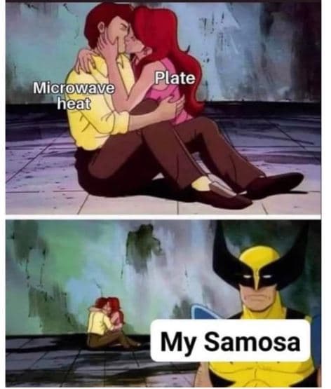 Plate microwave 'heat my samosa