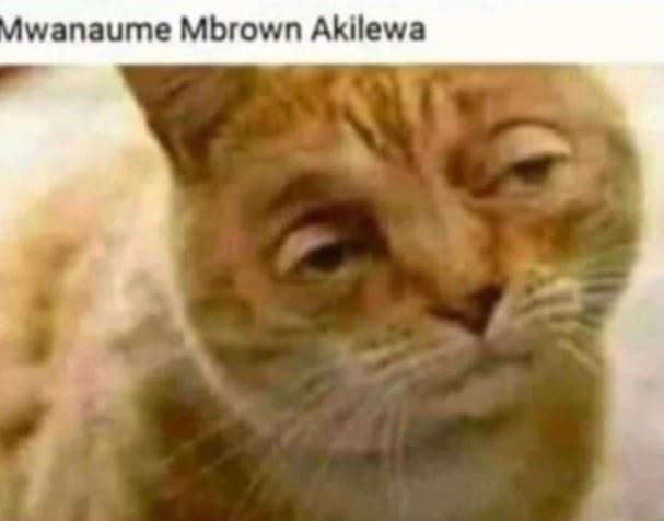 Mwanaume mbrown akilewa