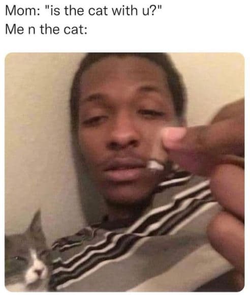 Mom is the cat with u? me n the cat