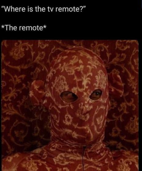 'where is the tv remote? the remote